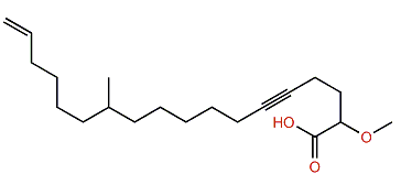 2-Methoxy-12-methyloctadeca-17-en-5-ynoic acid
